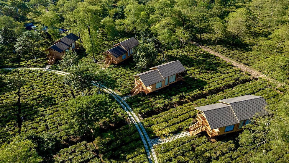 Situated amidst 1,400 acres of sprawling tea plantations in Assam, The Postcard in the Durrung Tea Estate blends colonial-era charm with understated luxury, offering guests private patios and an intimate retreat surrounded by the timeless magic of India’s tea country.