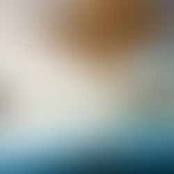 Discover Santa Barbara's Finest Accommodations