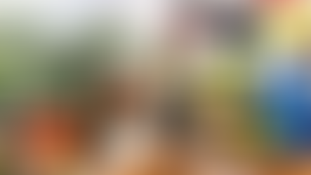 La Fortuna Coffee & Chocolate Tour: A Deep Dive into Costa Rican Craft