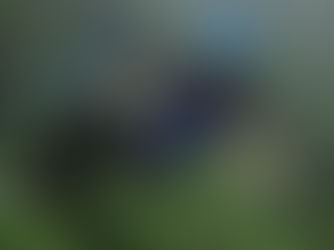 Inside a Full-Day Adventure Tour Near La Fortuna, Costa Rica