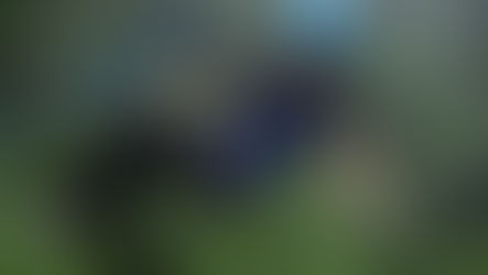 Inside a Full-Day Adventure Tour Near La Fortuna, Costa Rica