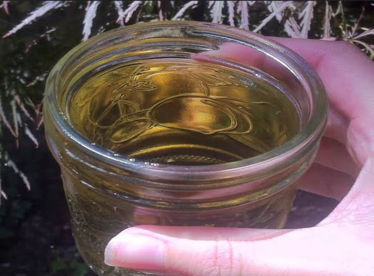 A warm cup of homemade nettle tea prepared with traditional herbs. Photo credit: Ankita Sharma