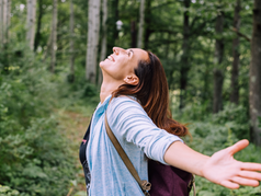 Forest Bathing in the U.S.: What It Is and Where to Try It