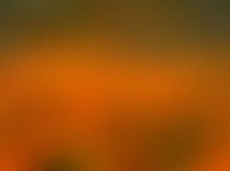 The Healing Power of Color: Southern California's Best Wildflower Spots