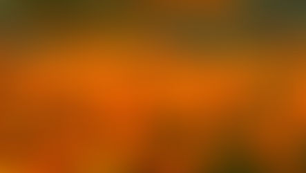 The Healing Power of Color: Southern California's Best Wildflower Spots