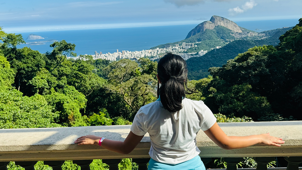 View from midpoint: Christ the Redeemer in Rio de Janeiro, Brazil