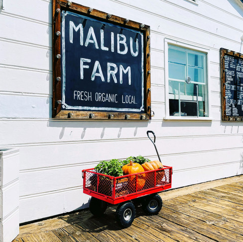 Malibu Farm, Malibu is a great farm-to-table restaurant