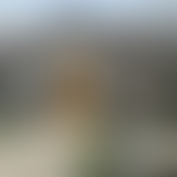 Austin resource guide