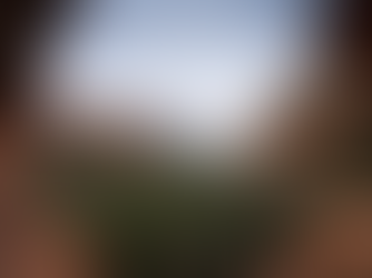 The Sedona Effect: Desert Energy, Environment, and the Body