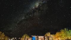 Best Night Wildlife and Stargazing Experiences in Nature