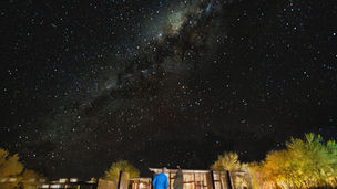 Beyond Daylight: The Best Night Wildlife and Stargazing Experiences for 2026 & 2027