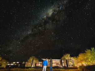 Beyond Daylight: The Best Night Wildlife and Stargazing Experiences for 2026 & 2027