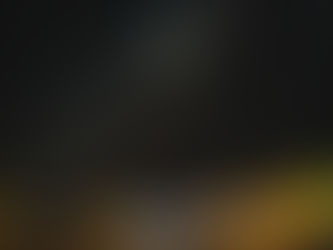 Beyond Daylight: The Best Night Wildlife and Stargazing Experiences for 2026 & 2027