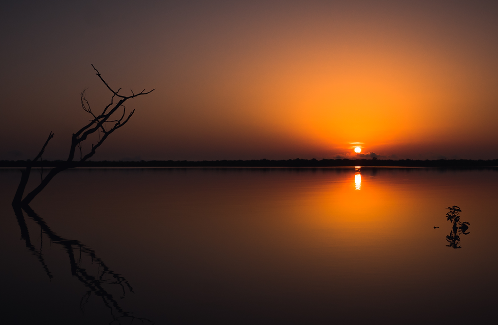 Sunrise. Photo taken from a boat on the Rio Negro in Brazil at 7 am.