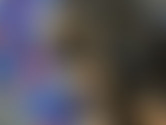 We have new Puppies that came into the world.