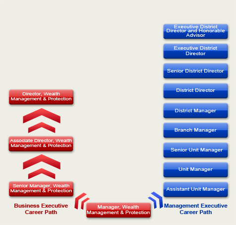 Career Path pic1.gif