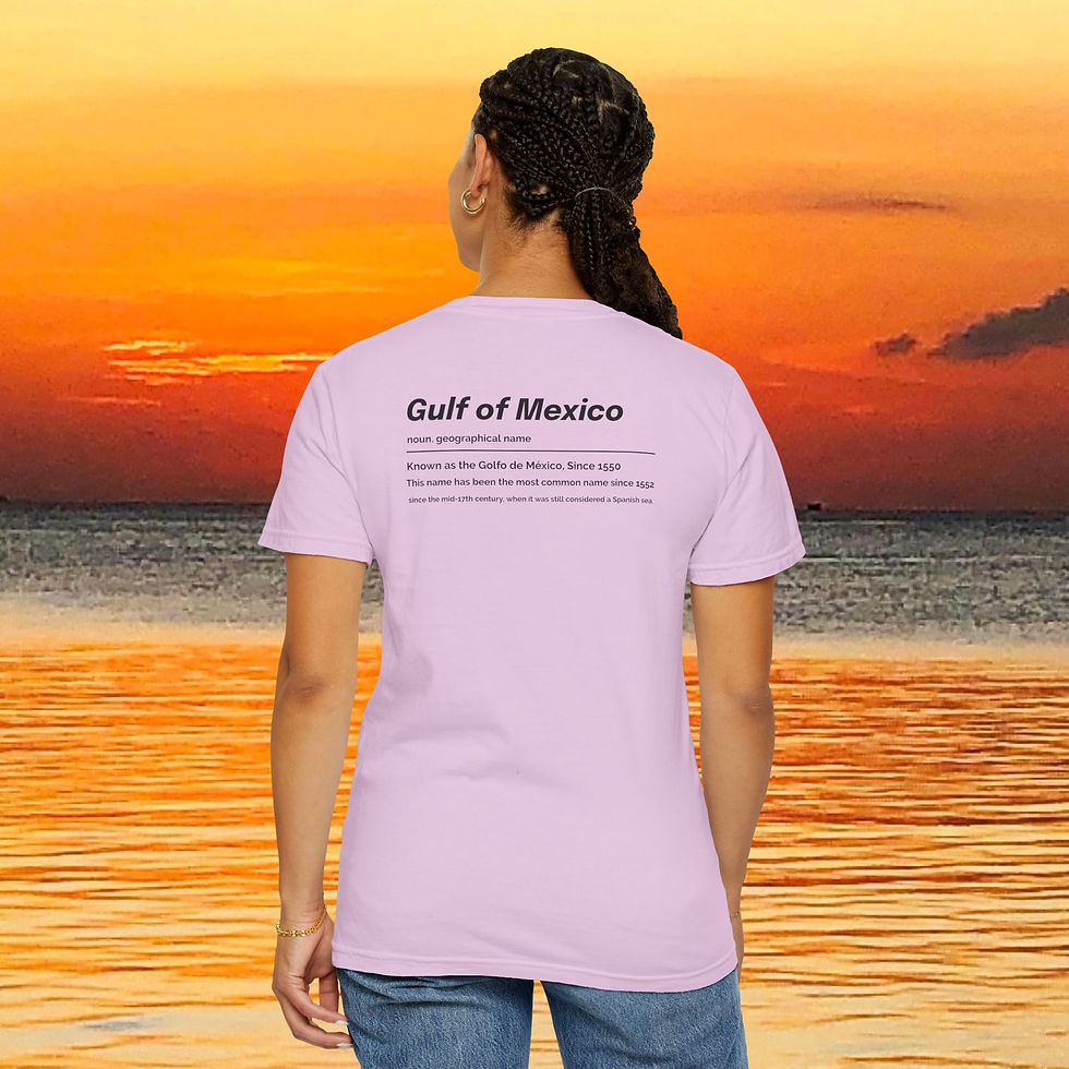 Thumbnail: Woman wearing pink shirt with 'Gulf of Mexico' text, sunset background. Japanese Rei T-Shirt