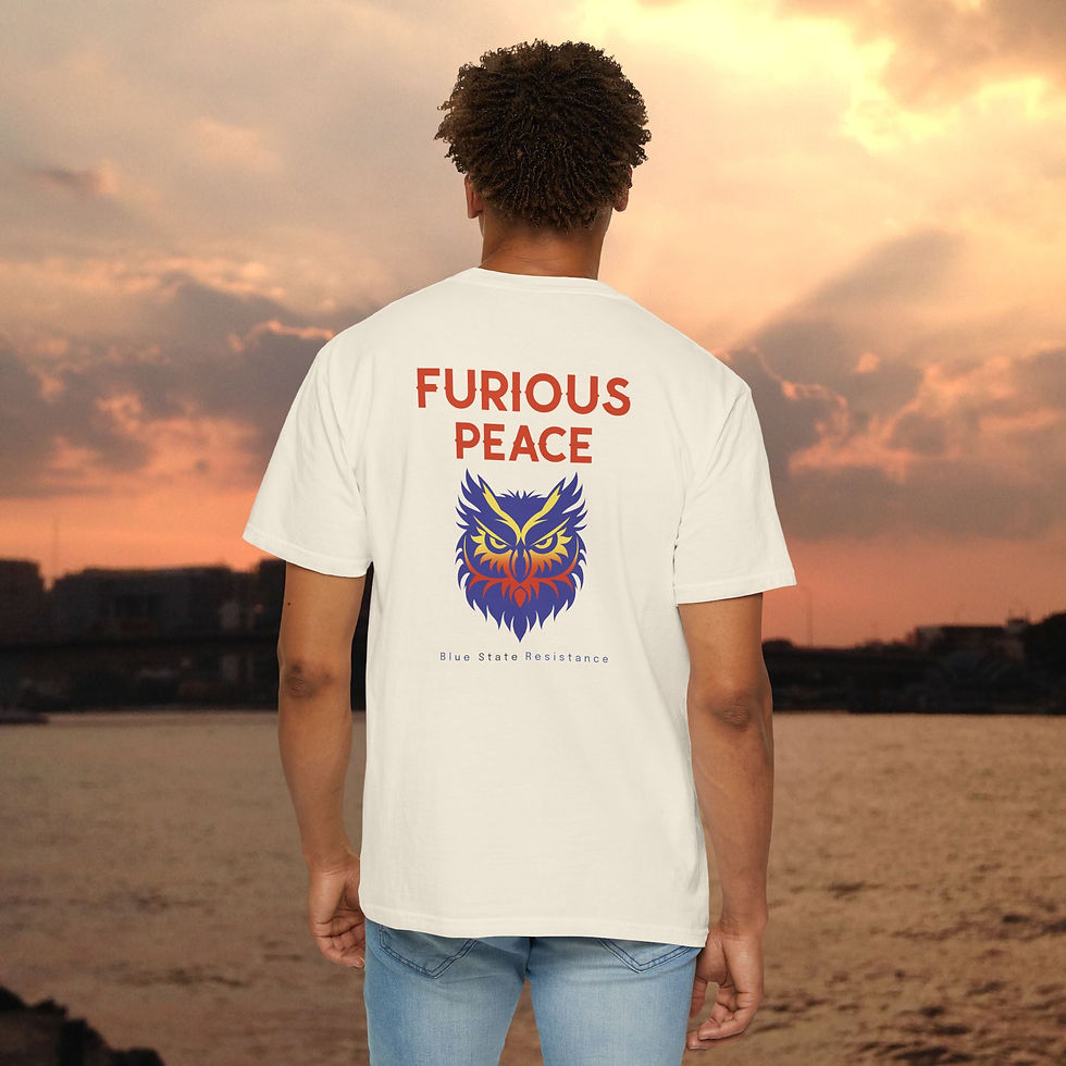 Thumbnail: Man wearing Furious Peace t-shirt featuring owl graphic, Asian Hat, My Site 1