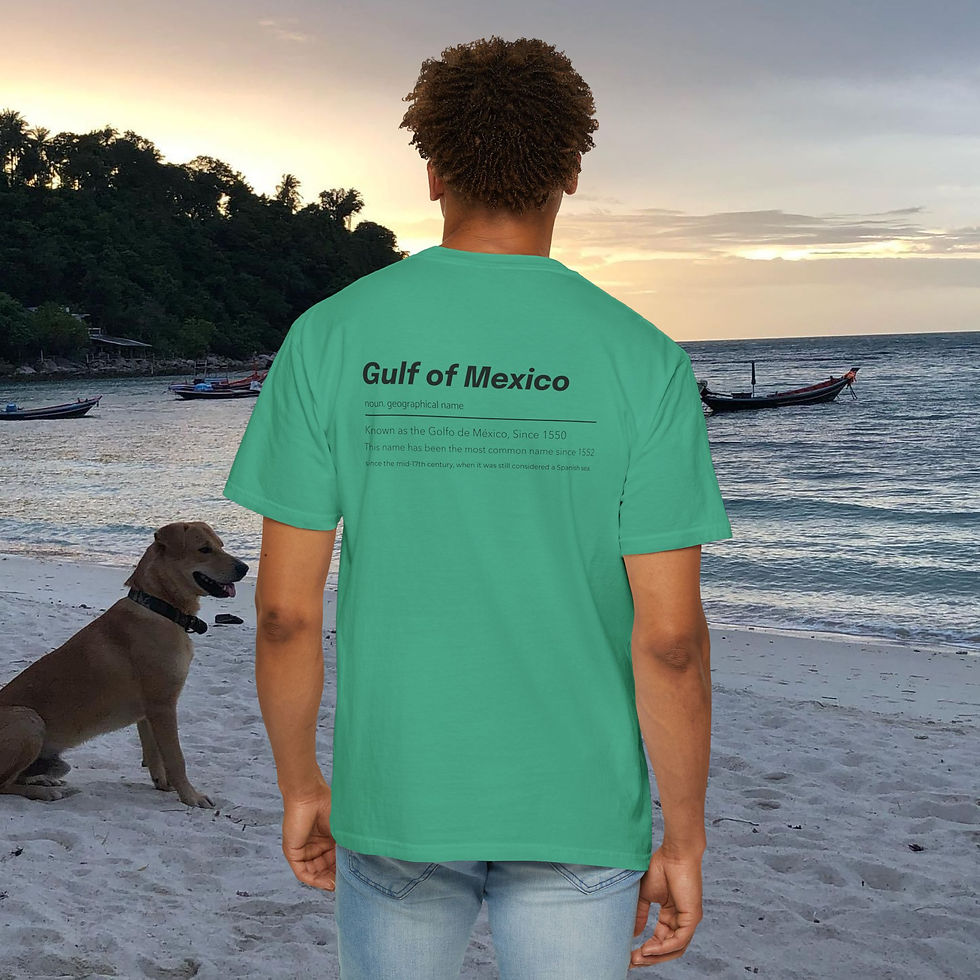 Thumbnail: Man wearing Gulf of Mexico tee shirt, dog on beach during sunset My Site 1