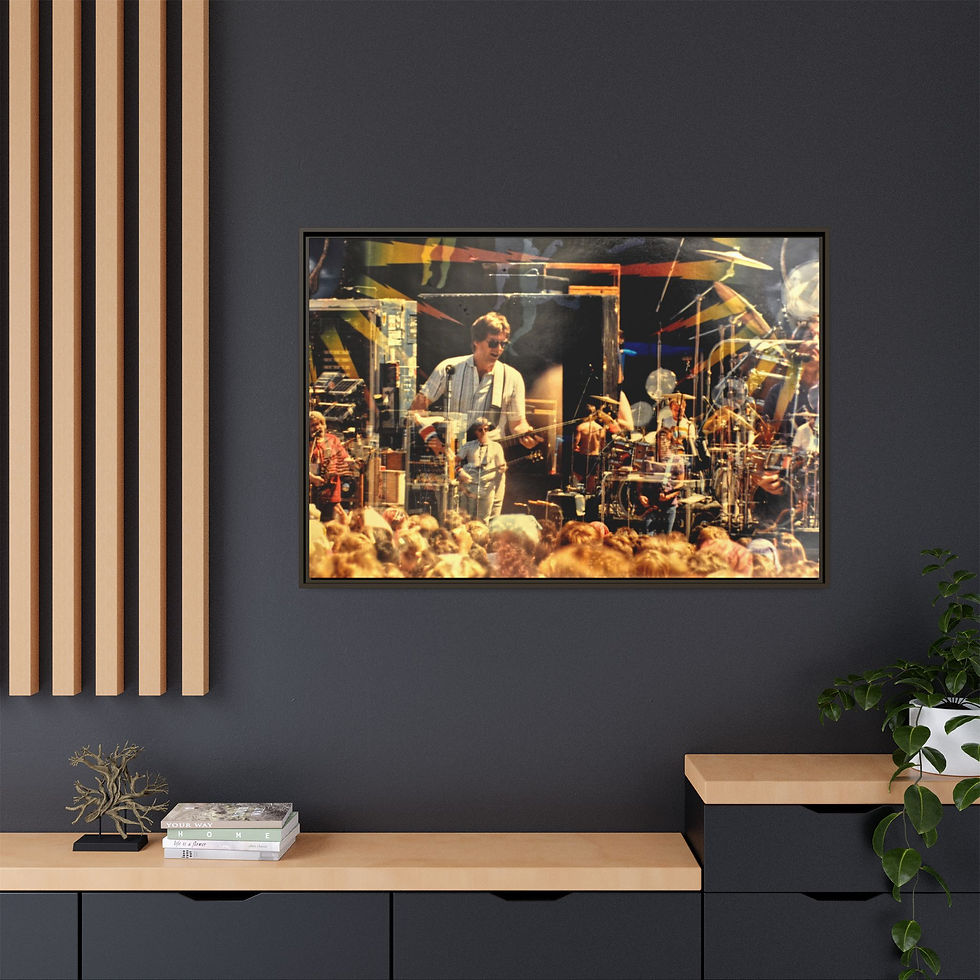 Thumbnail: Grateful Dead Frost Ampitheater '86, "The Phil Zone" 32"x 48" Canvas Print, Gift