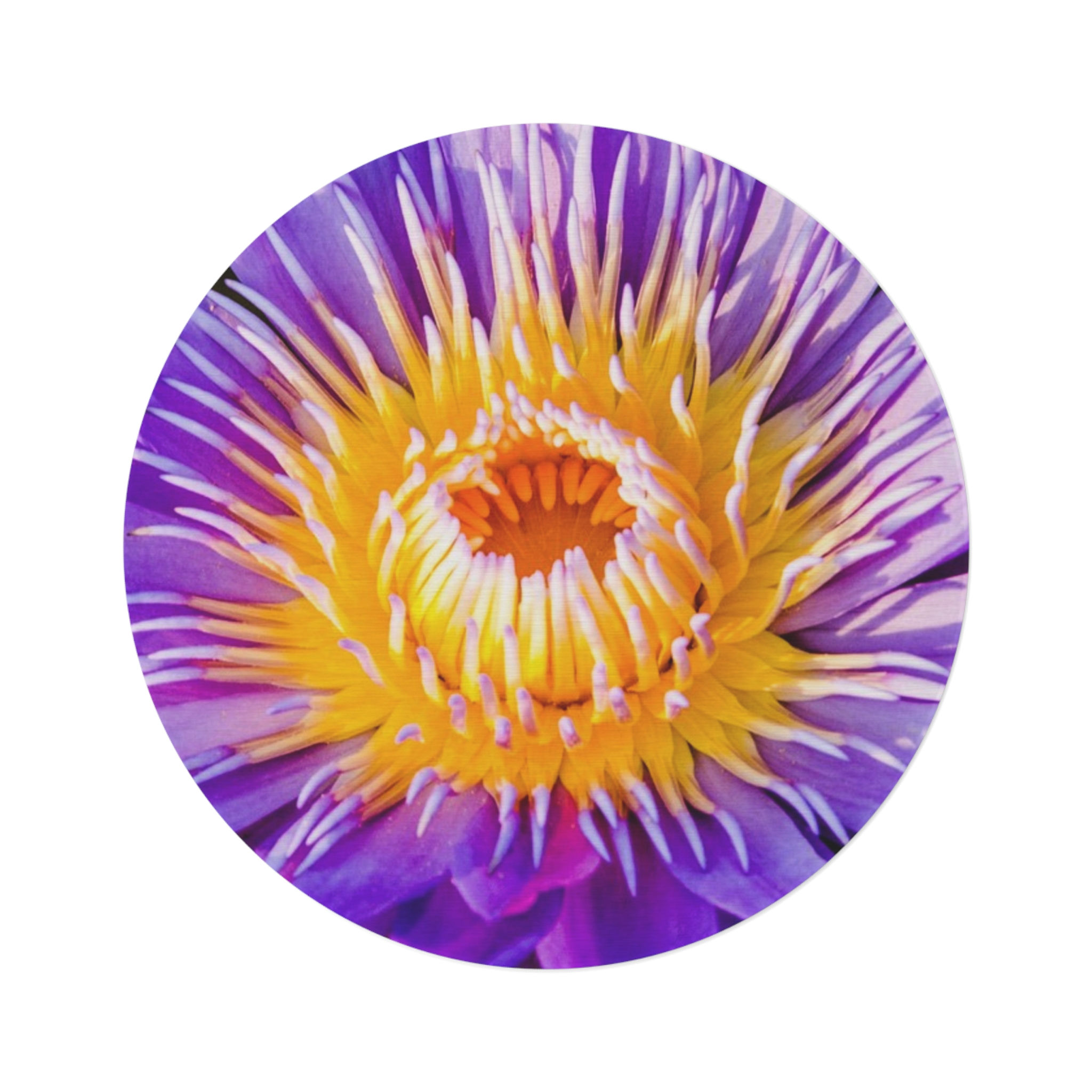 Vibrantly Beatiful Purple & Gold Lotus 60" Round Rug, Flower Decor, Amazing Gift