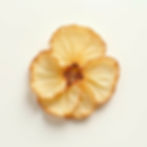 Gedroogde Appelpartjes