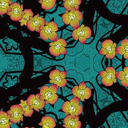 Collective Abundance RAN