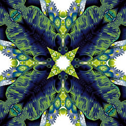 Collective Abundance with eyes