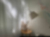 IMG_7521.jpeg