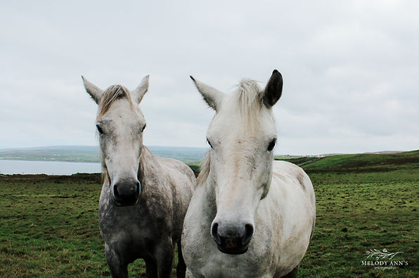 Ireland-Web Export (portrait)-10.jpg