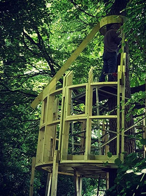 Timber frame of treehouse under construction, designed by Matthew Clay Architects