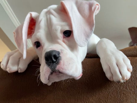 Pushing Through the Chaos