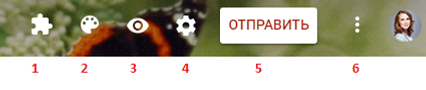 Capture.PNG