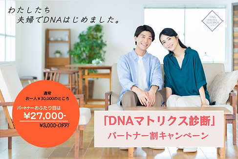 夫婦割トップ-(1).png