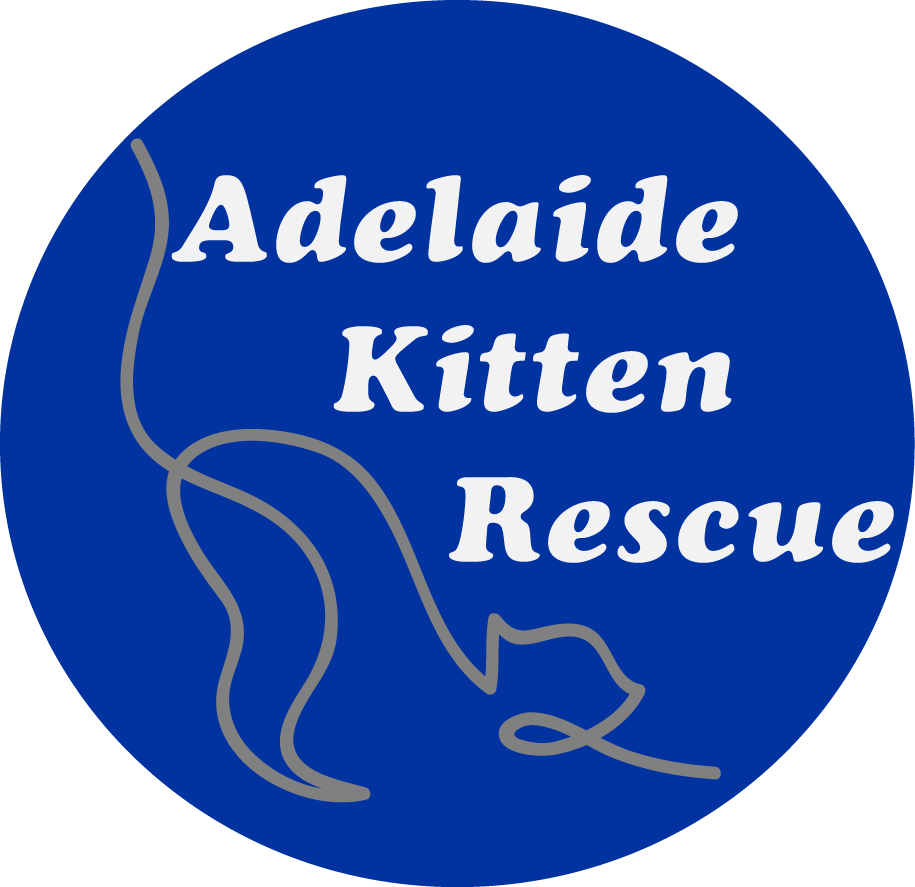 Home Adelaide Kitten Rescue