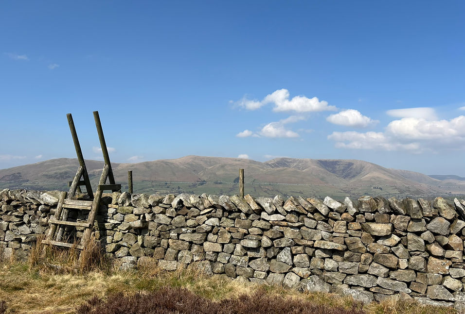 Contact - background.JPEG