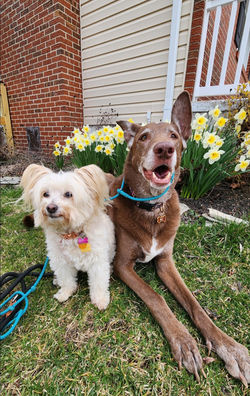 Screenshot_20240322_094111_Photos