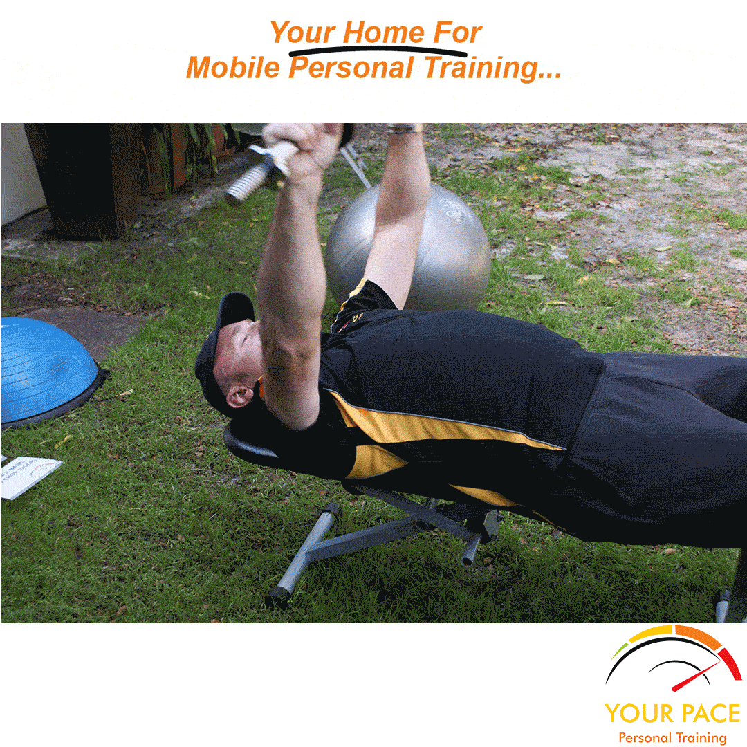 Bench and weights brought to you