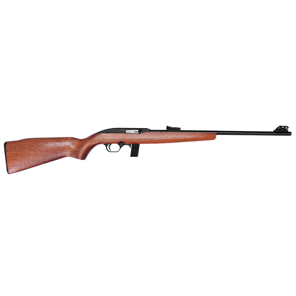 Miniatura: RIFLE CBC.22 SA 7022 21"