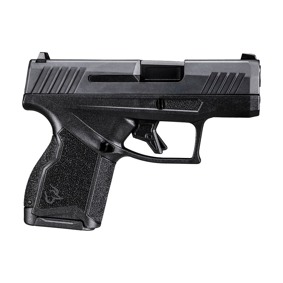Miniatura: PISTOLA TAURUS GX4 CAL 9mm