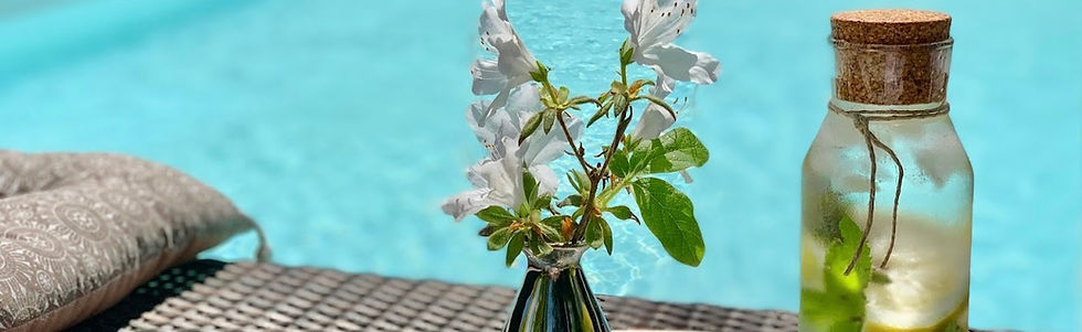 SUITE SERENITE CHAMBRE HOTES PARIS LA SUITE BARBIZONJACUZZI SPA HAMMA SAUNA PRIVATIF PISCI