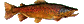 Relax-n-Reel Swimming Fish gif Brown Trout
