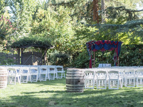 Wine and Roses Wedding: Overcoming Challenges For Perfect Photos