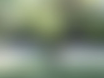 Wine and Roses Wedding: Overcoming Challenges For Perfect Photos