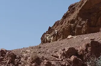 A stunning view from the Wadi Dana Trail, showcasing Jordan's wilderness.