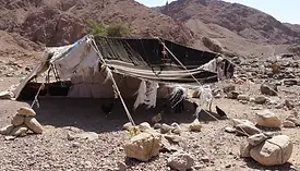 Rugged desert and valley landscapes along the Wadi Dana Trail.