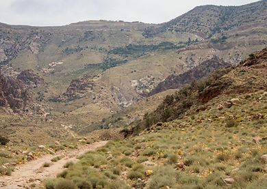 Wadi Dana Trail featuring rugged terrain and desert vistas in Jordan.