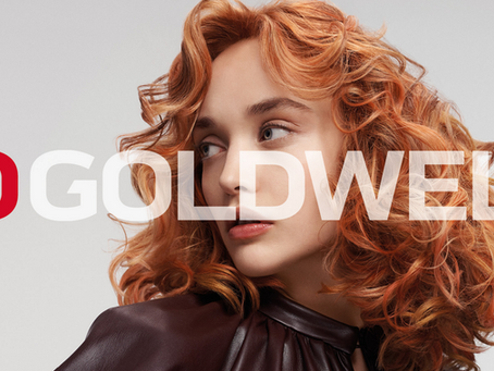 Why we choose Goldwell