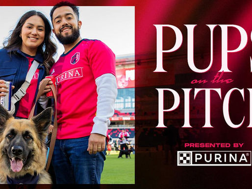 Pups on the Pitch St Louis: evento de St. Louis CITY SC para fans y sus perros en Energizer Park