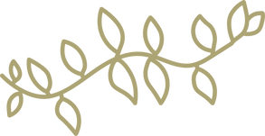 CIC Website Icon Vine (Gold).png